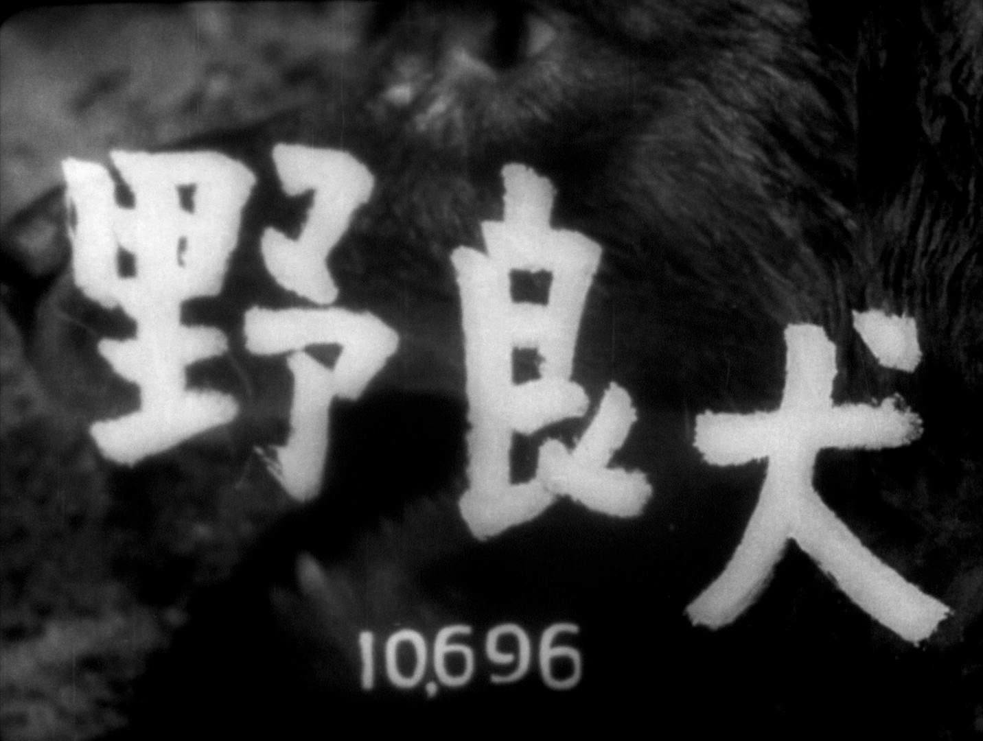 Stray Dog (1949) —  shot,  lighting