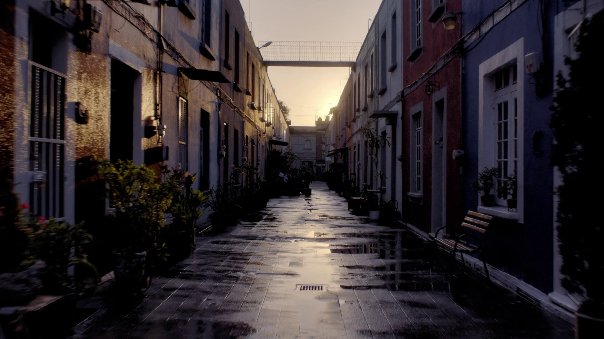 CORONA | La Pasión Manda | Yupi Segura (2023) —  shot,  lighting