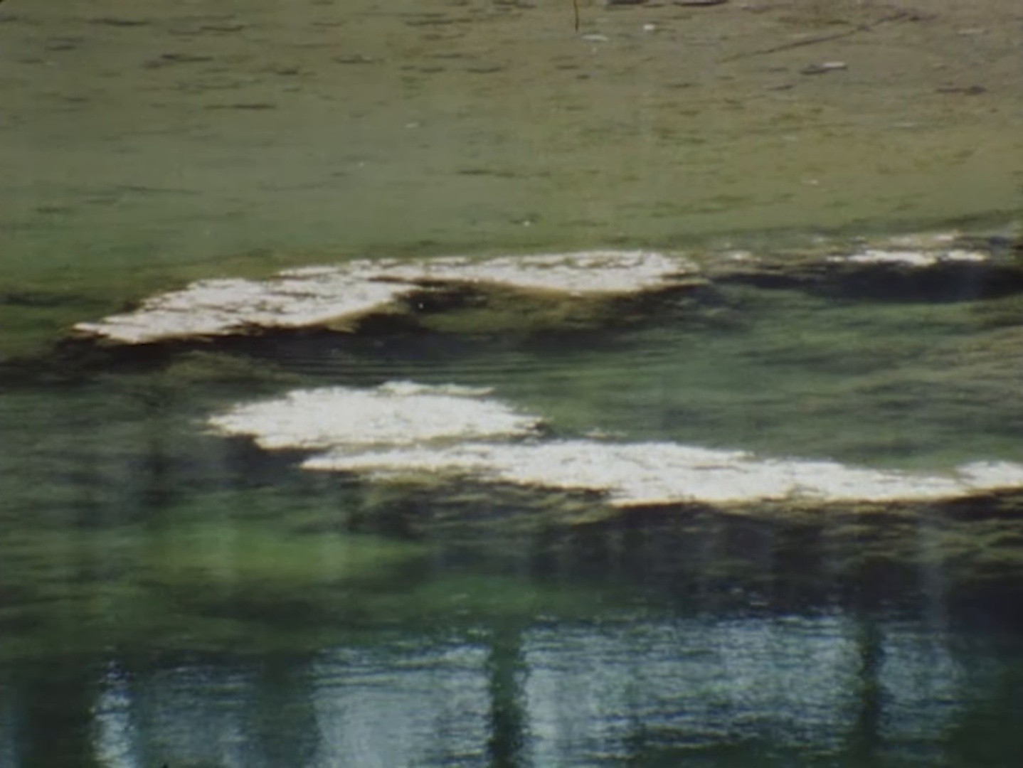 Olive tree (2025) —  shot,  lighting