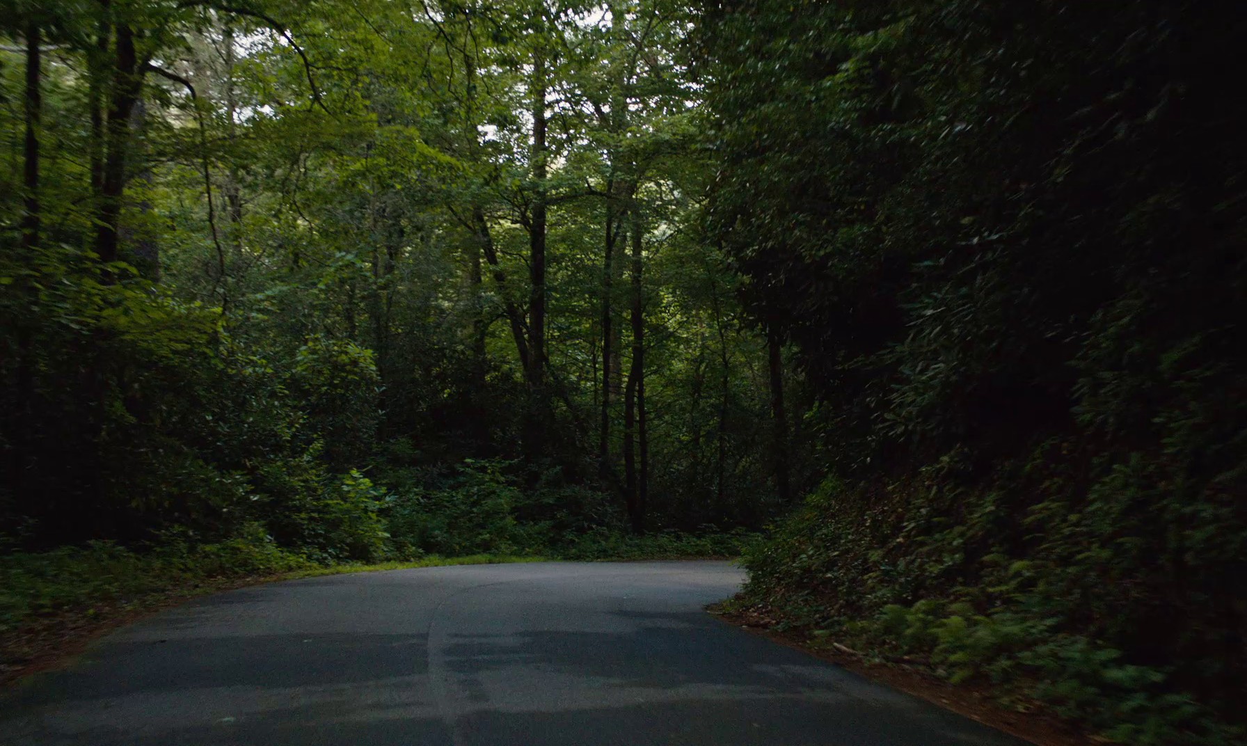 Mountain Rest (2018) —  shot,  lighting