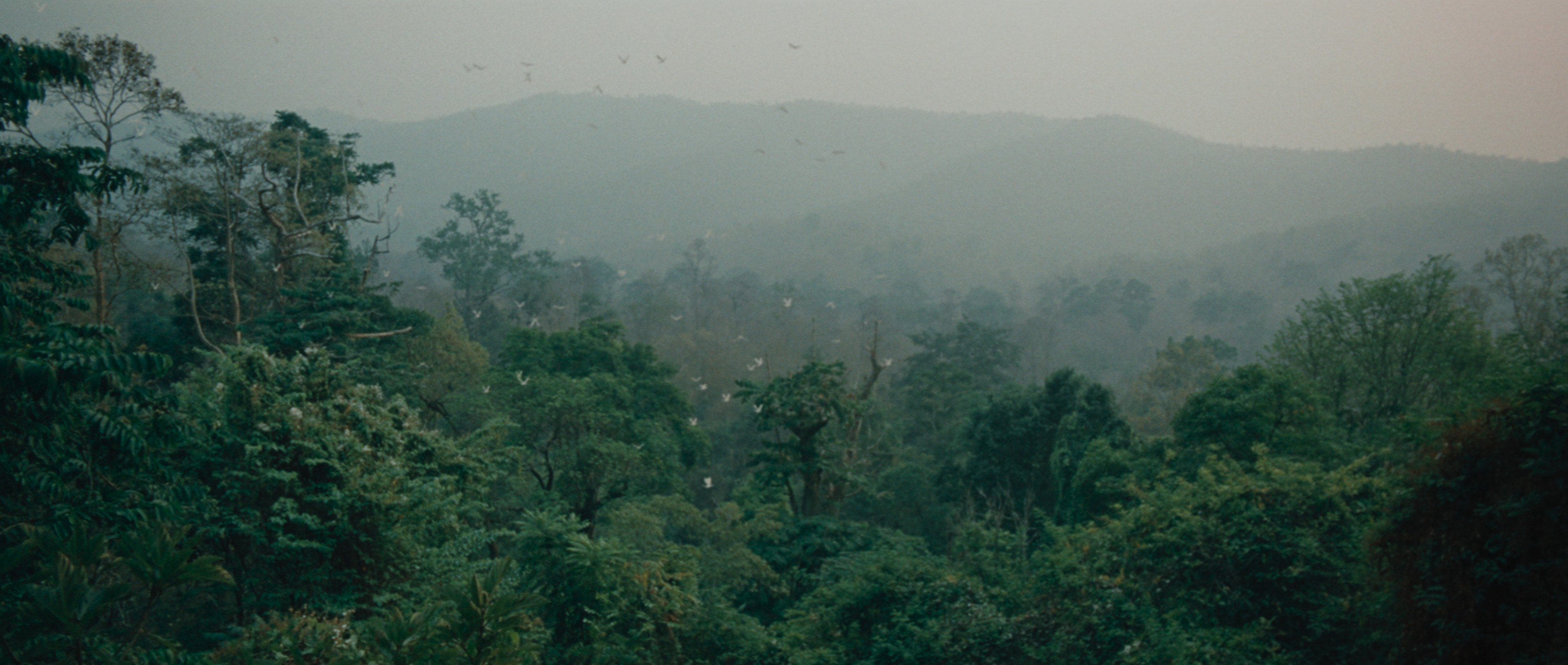 Rambo (2008) —  shot,  lighting