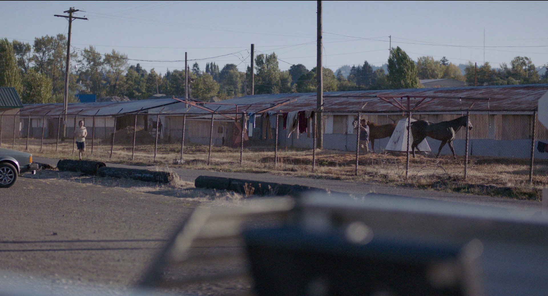 Lean on Pete (2017) —  shot,  lighting