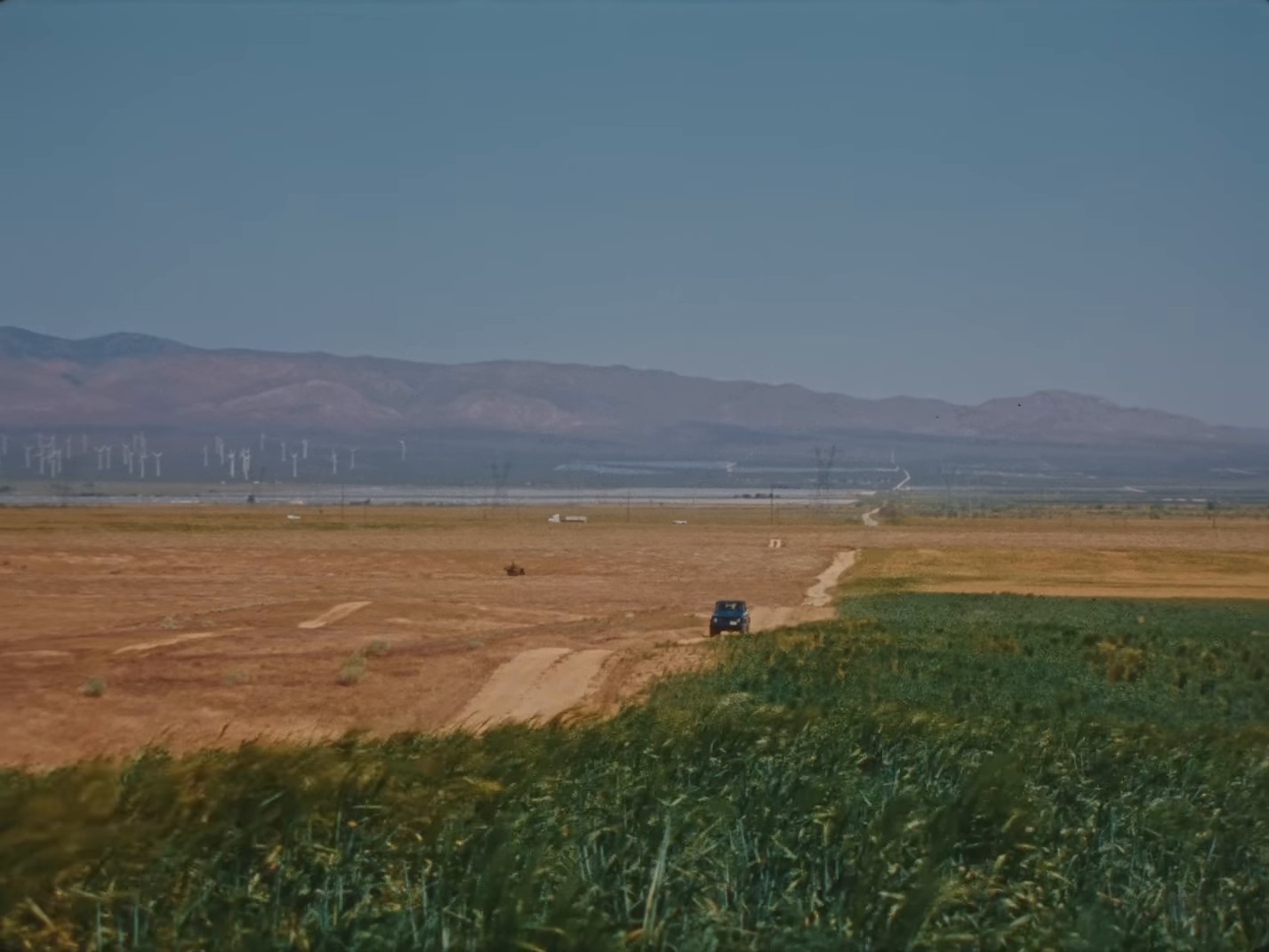 Bloom (2024) —  shot,  lighting