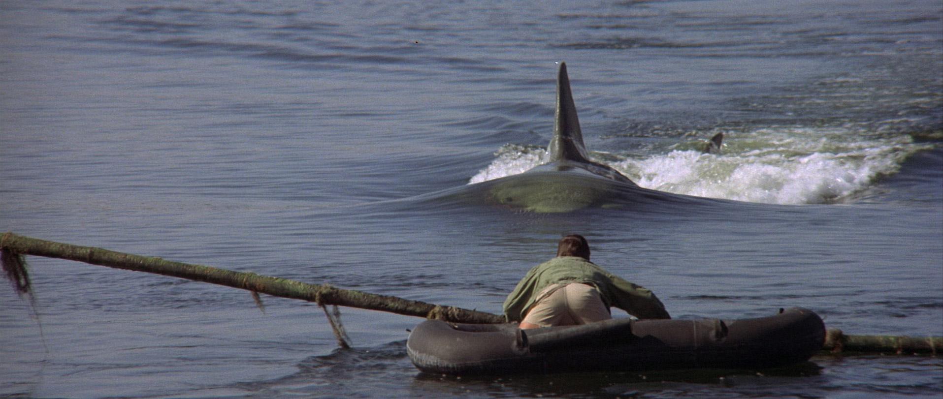 Jaws 2 (1978) —  shot,  lighting
