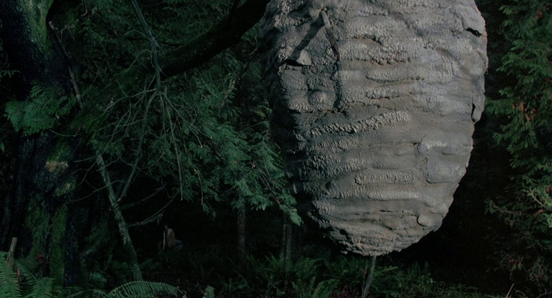 The Food of the Gods (1976) —  shot,  lighting