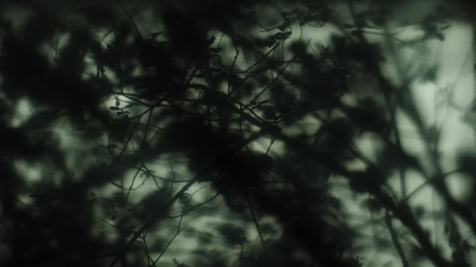 The Silence That Remains (2024) —  shot,  lighting