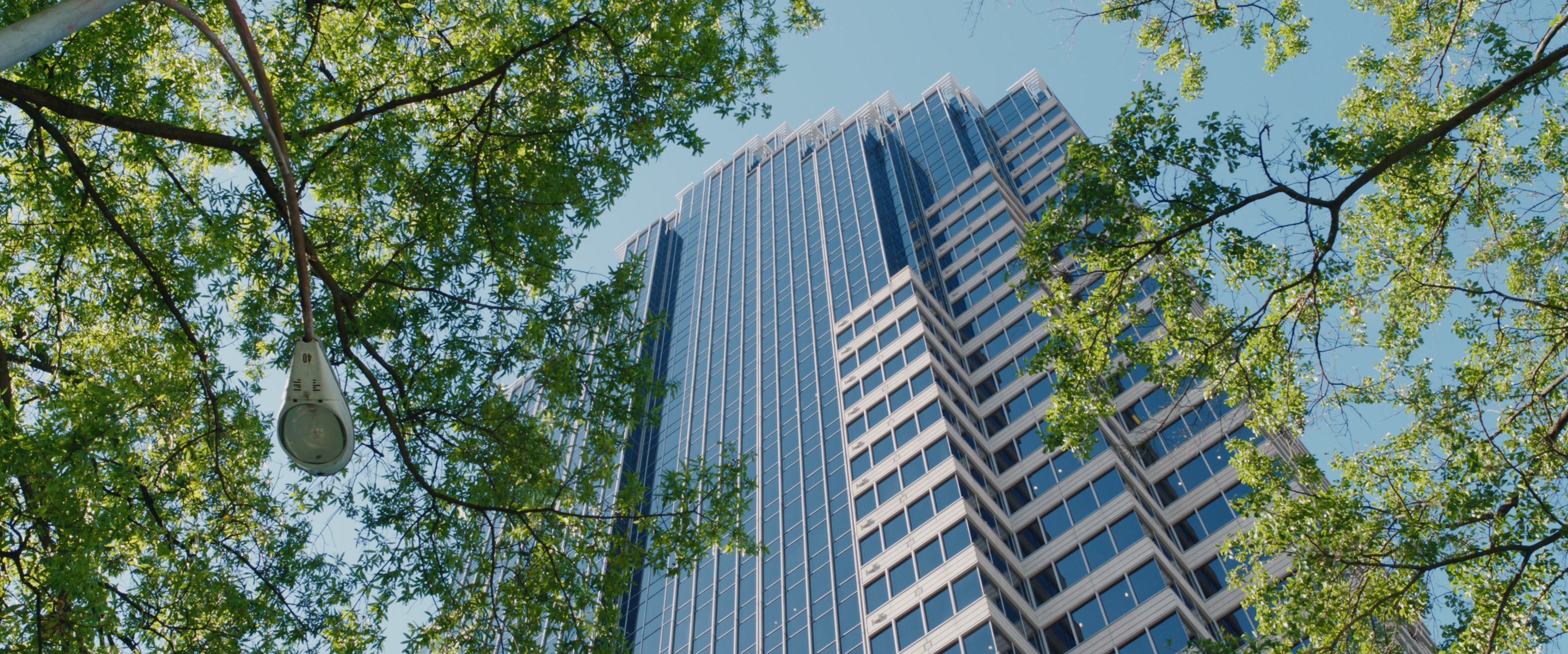 Night School (2018) —  shot,  lighting