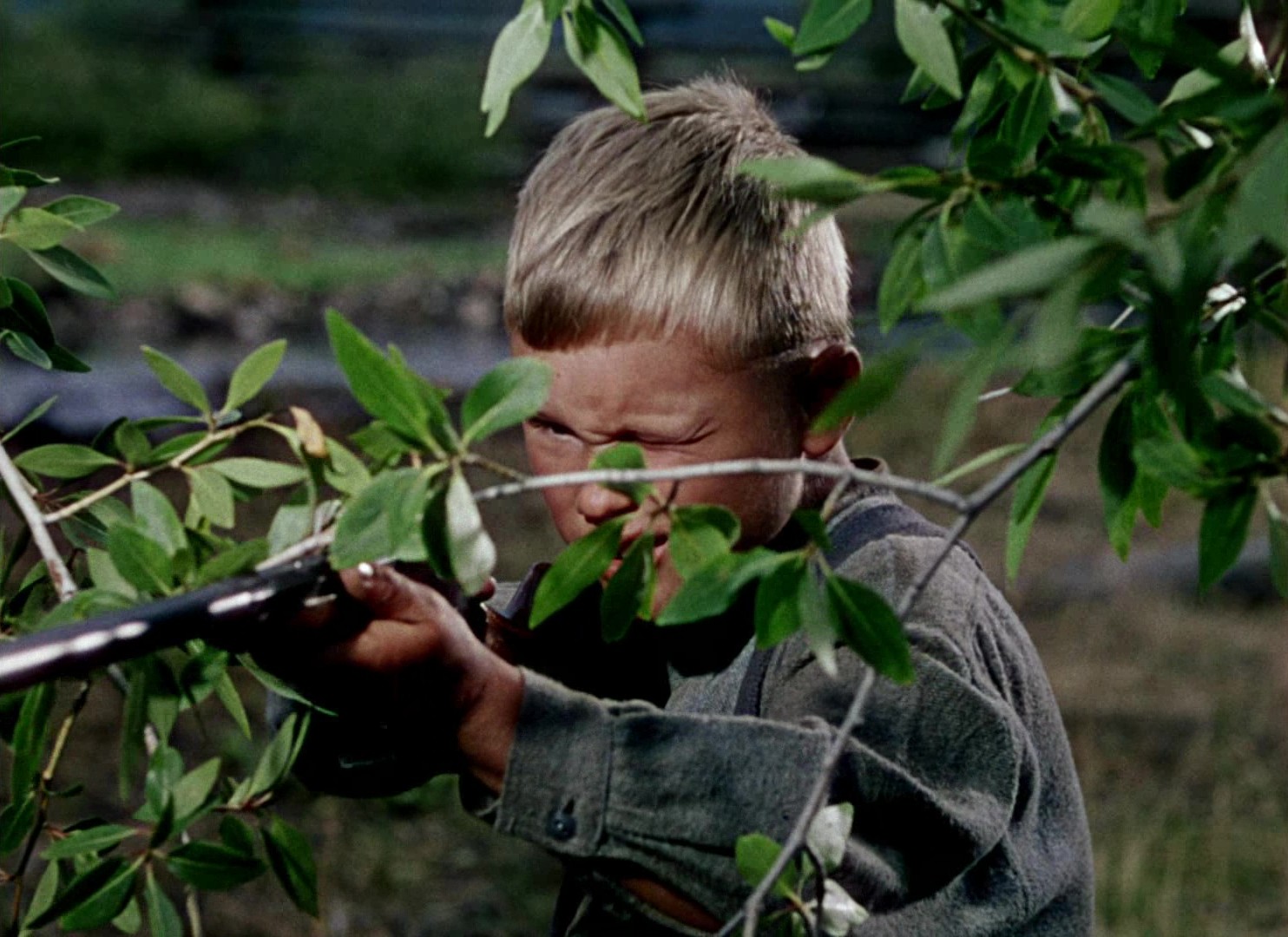 Shane (1953) —  shot,  lighting
