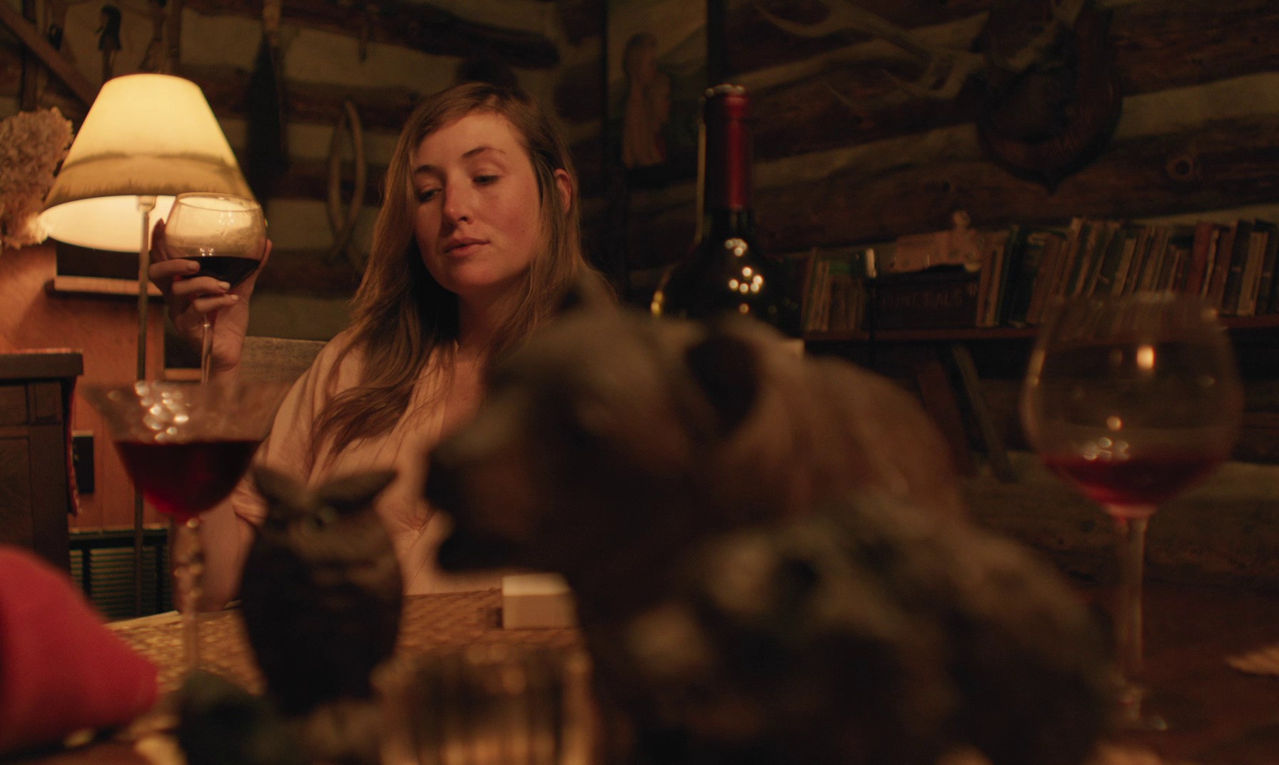 Mountain Rest (2018) —  shot,  lighting