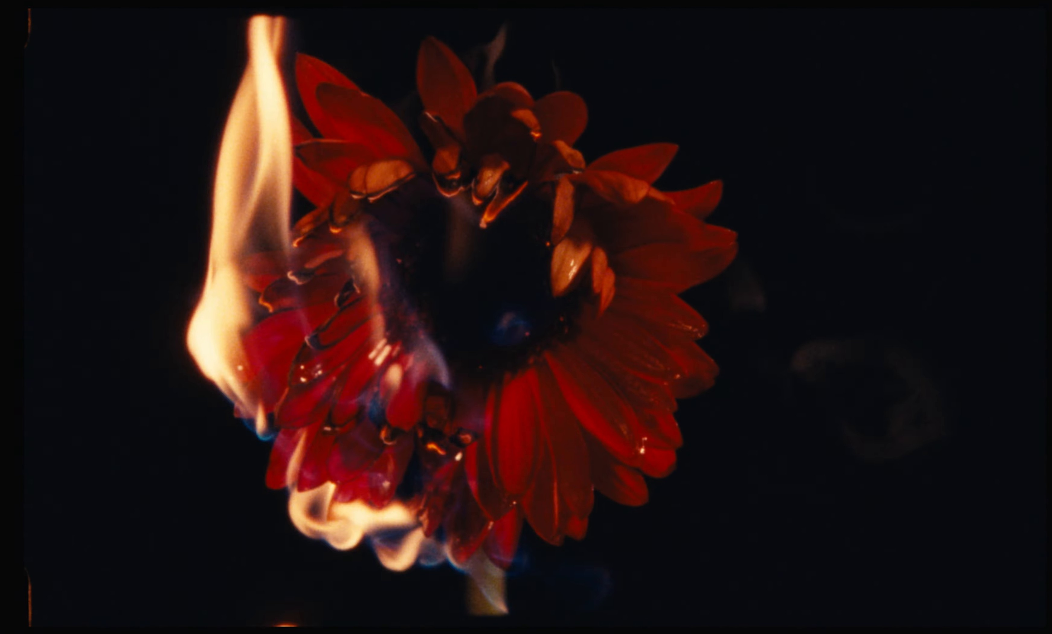 Autant Brûler (2024) —  shot,  lighting