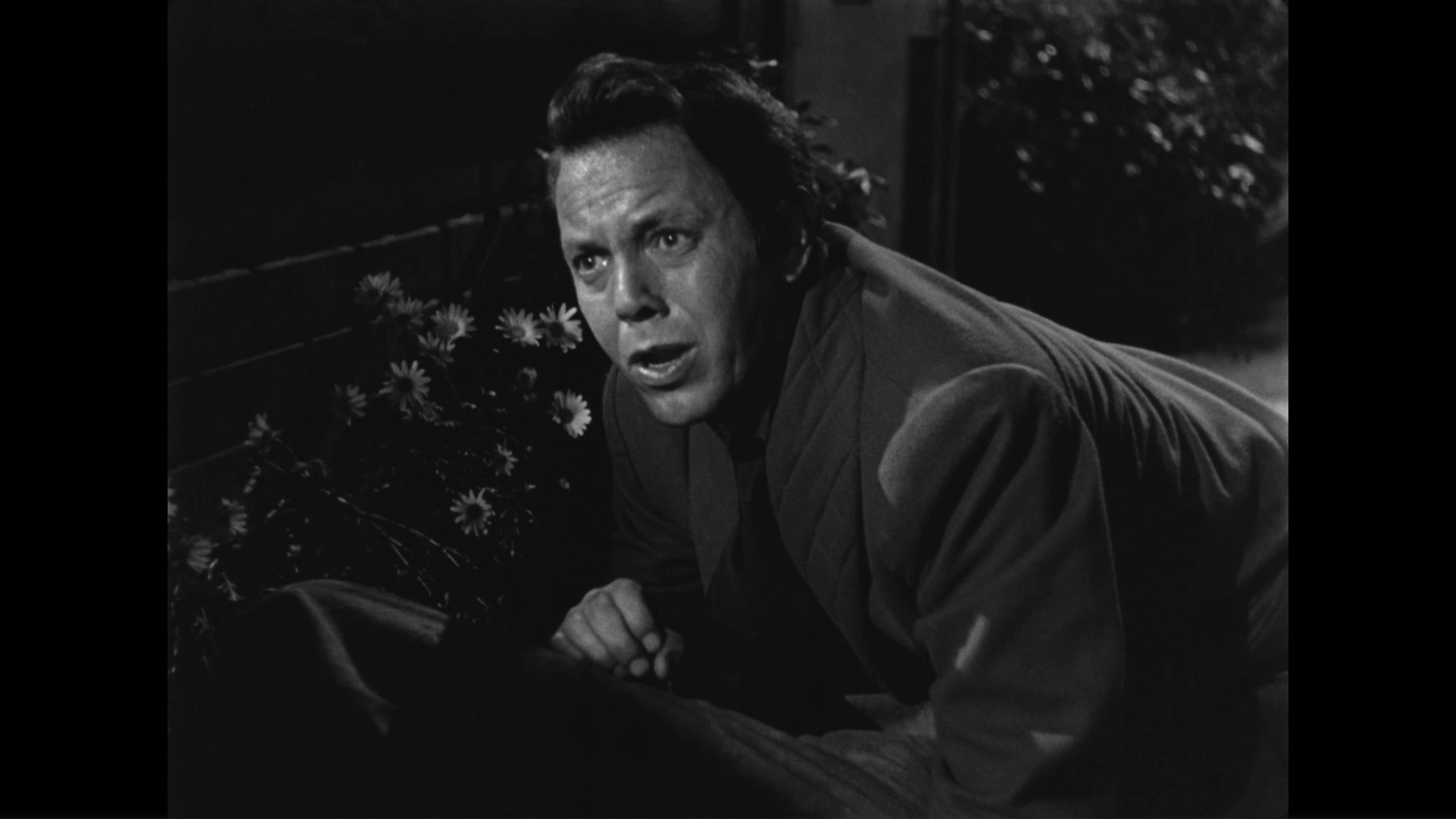 House by the River (1950) —  shot,  lighting