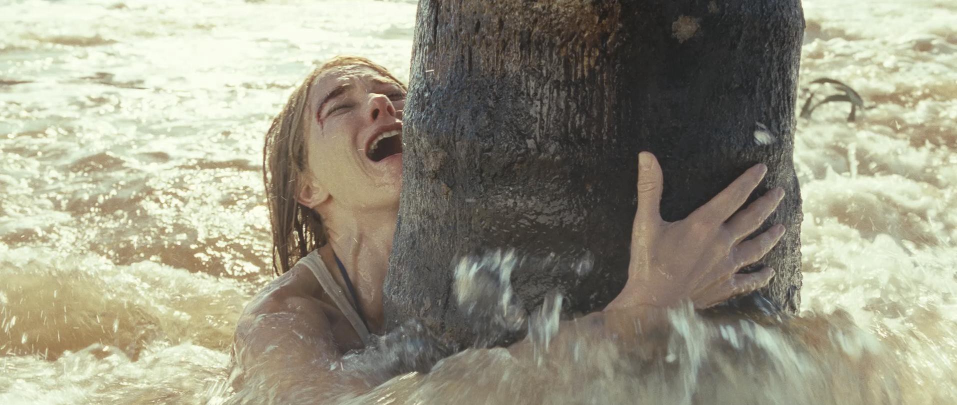 The Impossible (2012) —  shot,  lighting