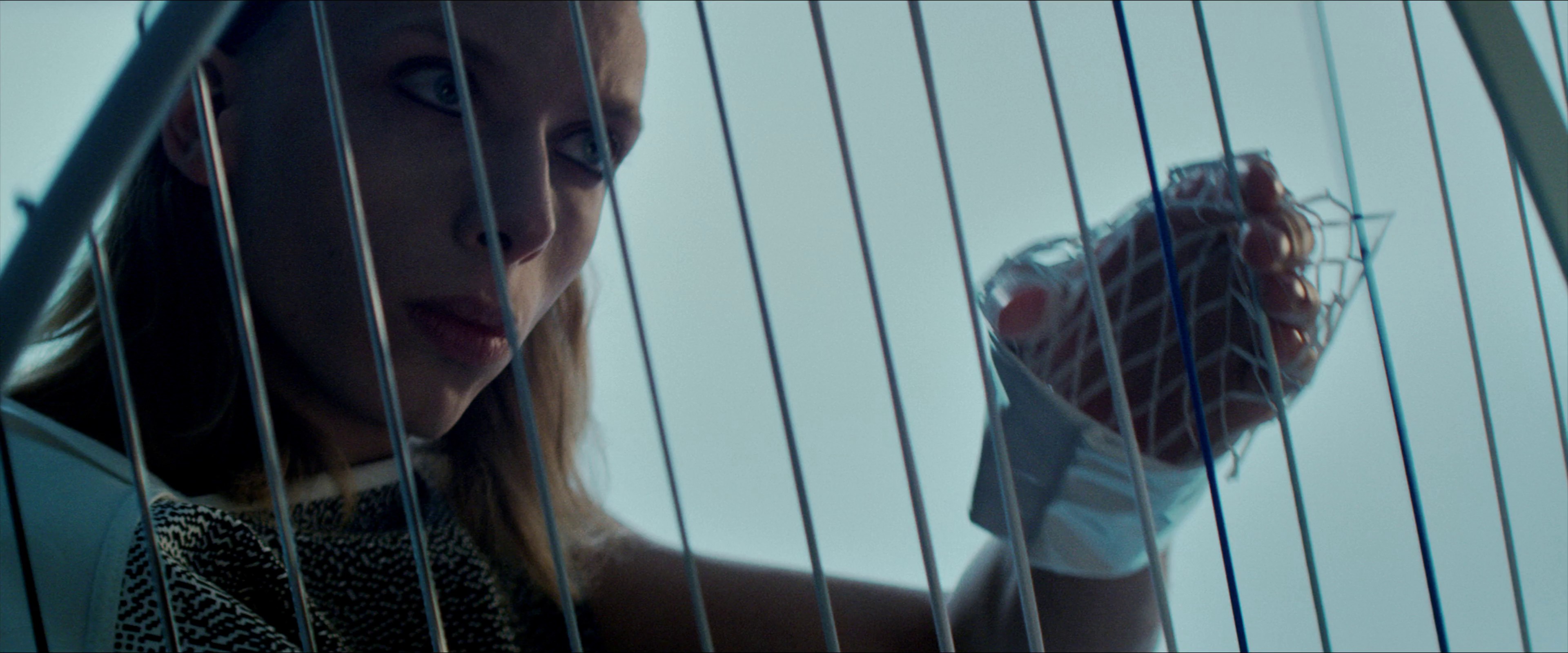 Believe (2016) —  shot,  lighting