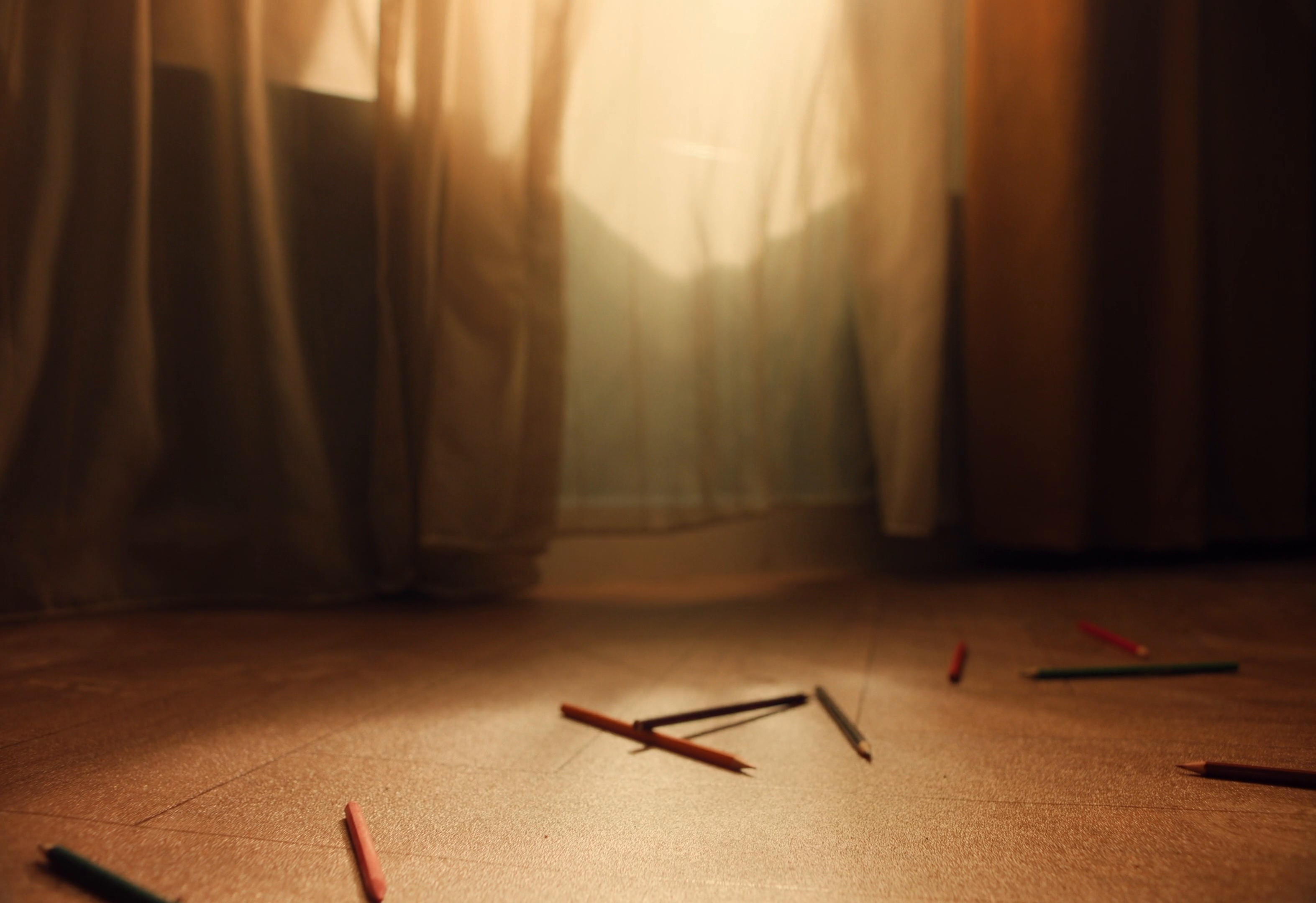 International Arabic Language Day (2025) —  shot,  lighting