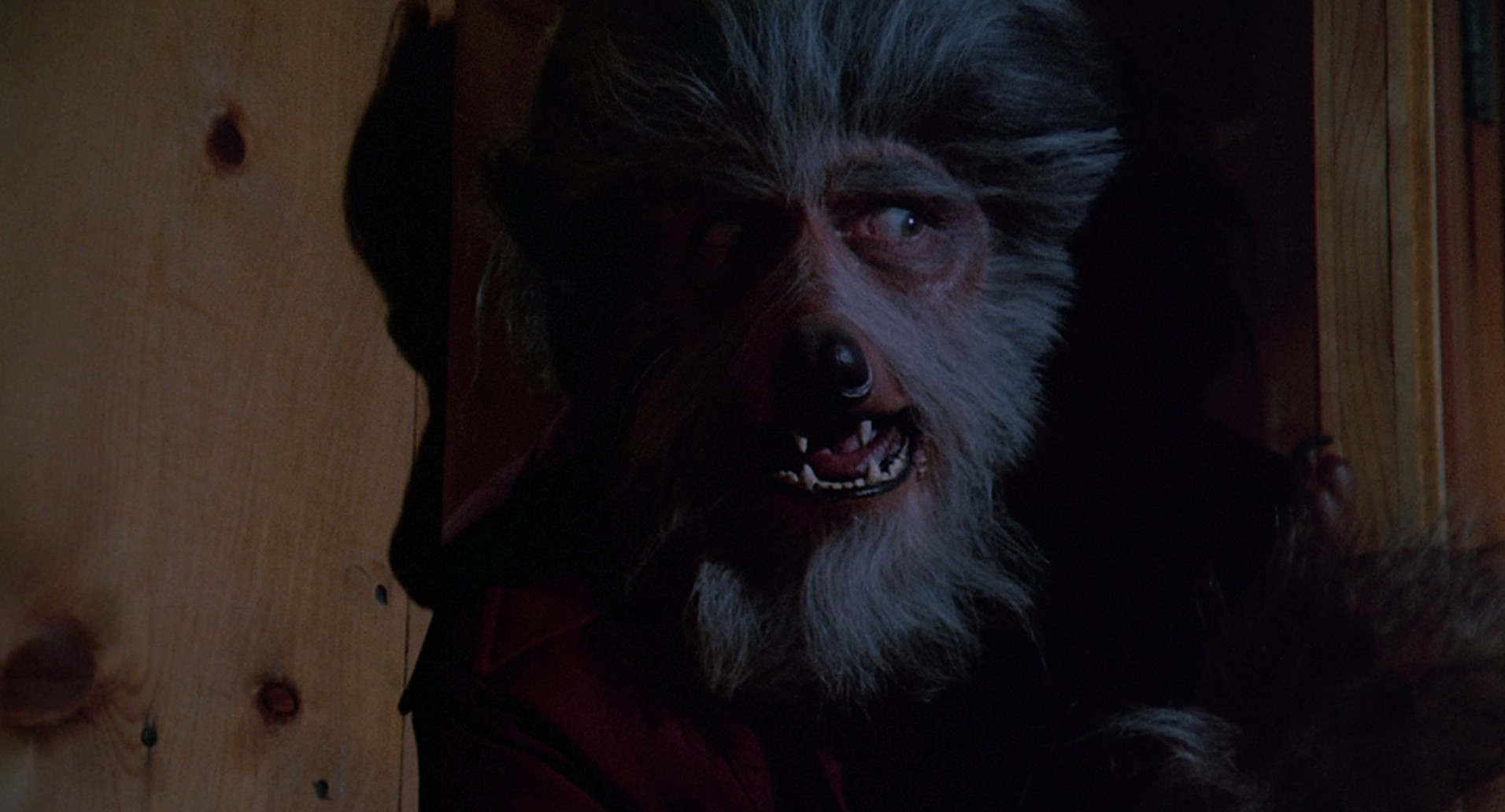 The Boy Who Cried Werewolf (1973) —  shot,  lighting