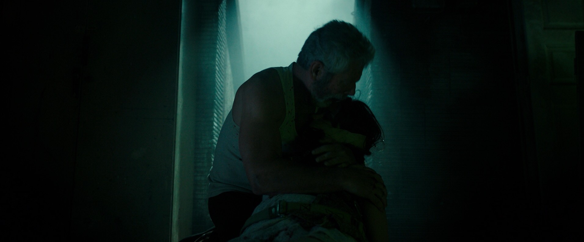 Don't Breathe (2016) —  shot,  lighting