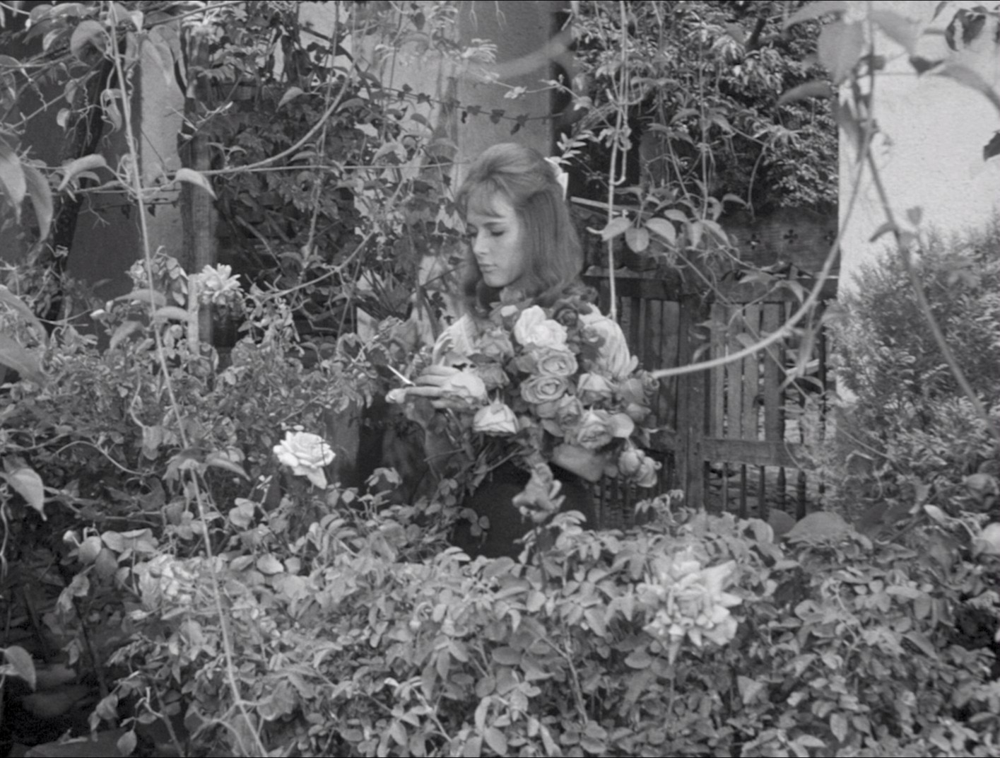 Tiempo de morir (1966) —  shot,  lighting