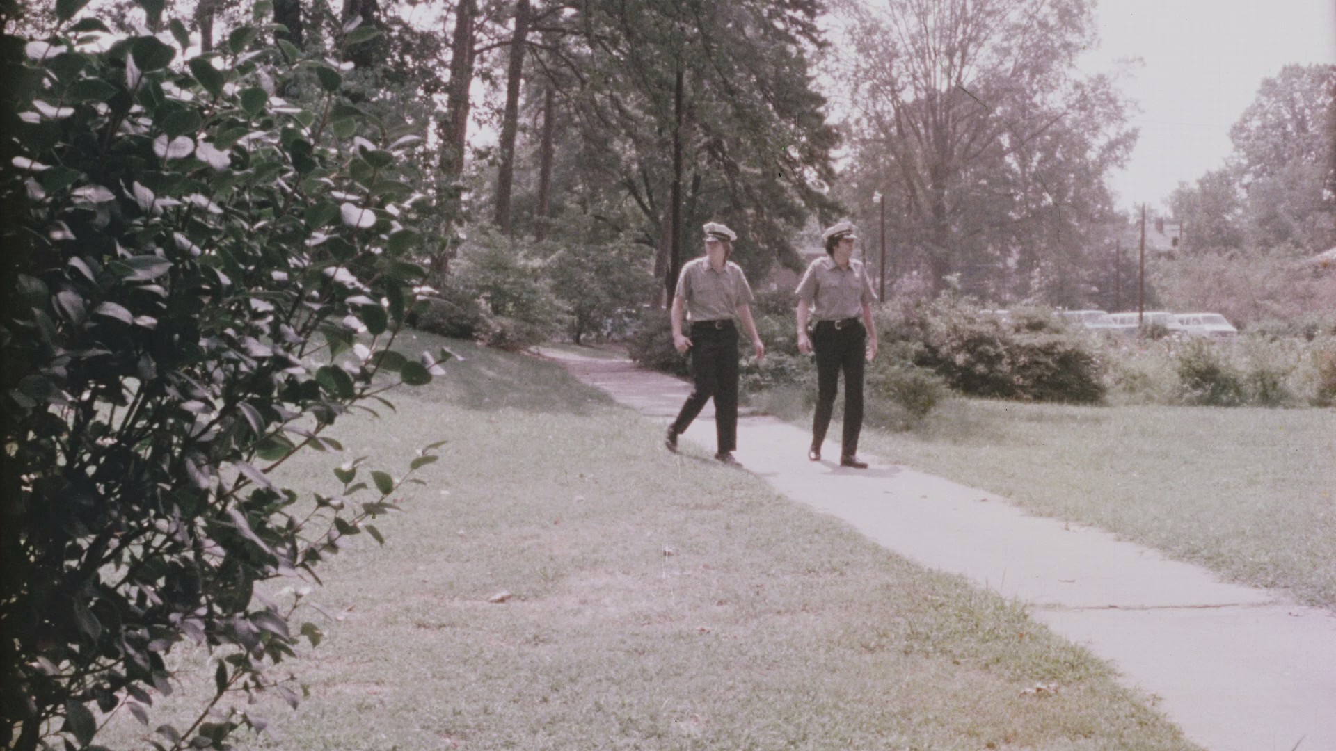 Another Son of Sam (1977) —  shot,  lighting