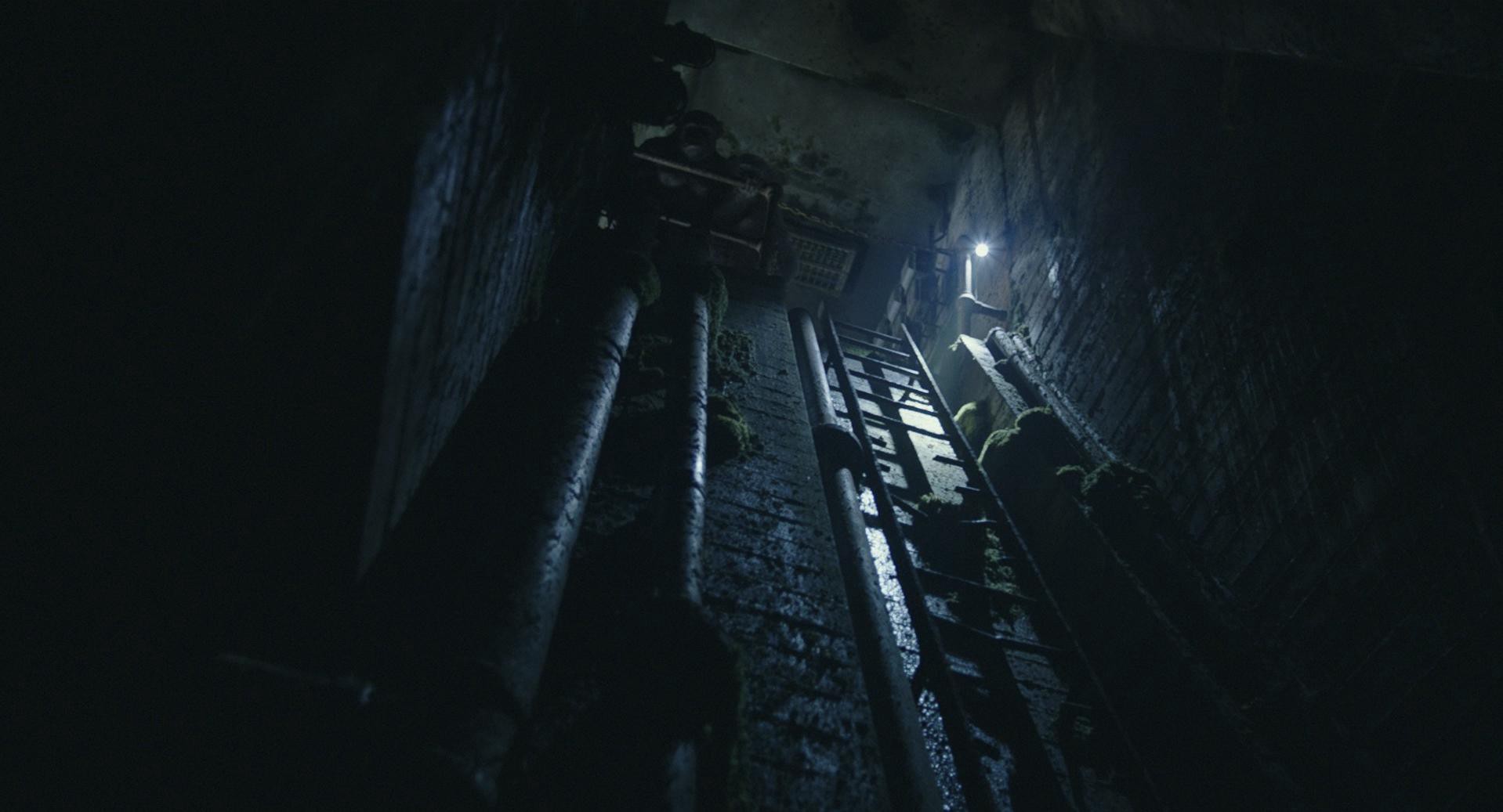 Dawn of the Planet of the Apes (2014) —  shot,  lighting