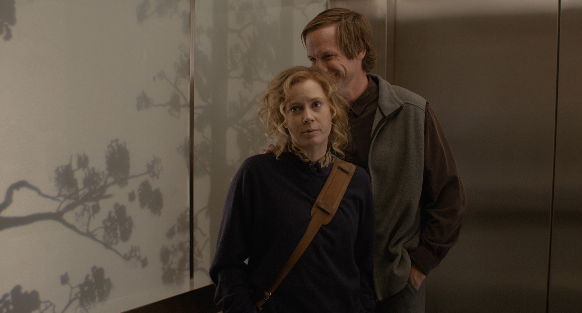 Her (2013) —  shot,  lighting