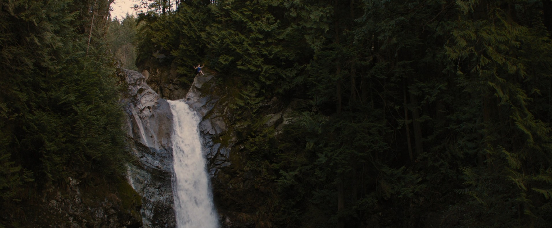 The Twilight Saga: Breaking Dawn - Part 2 (2012) —  shot,  lighting