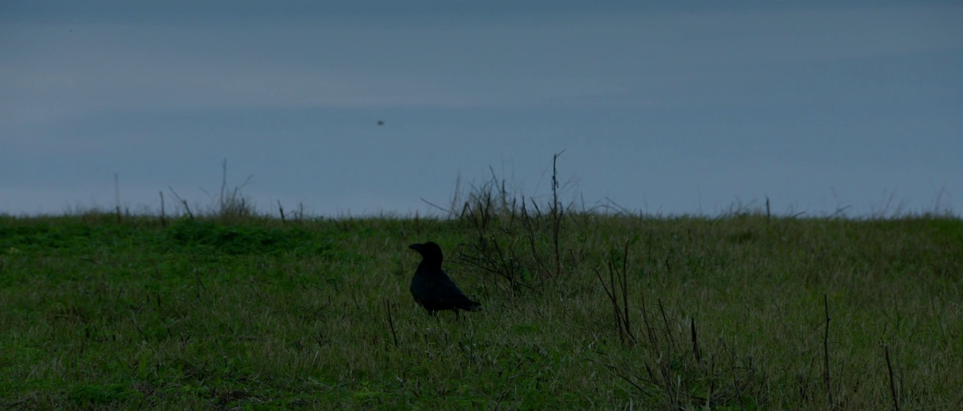 Neptune (2020) —  shot,  lighting