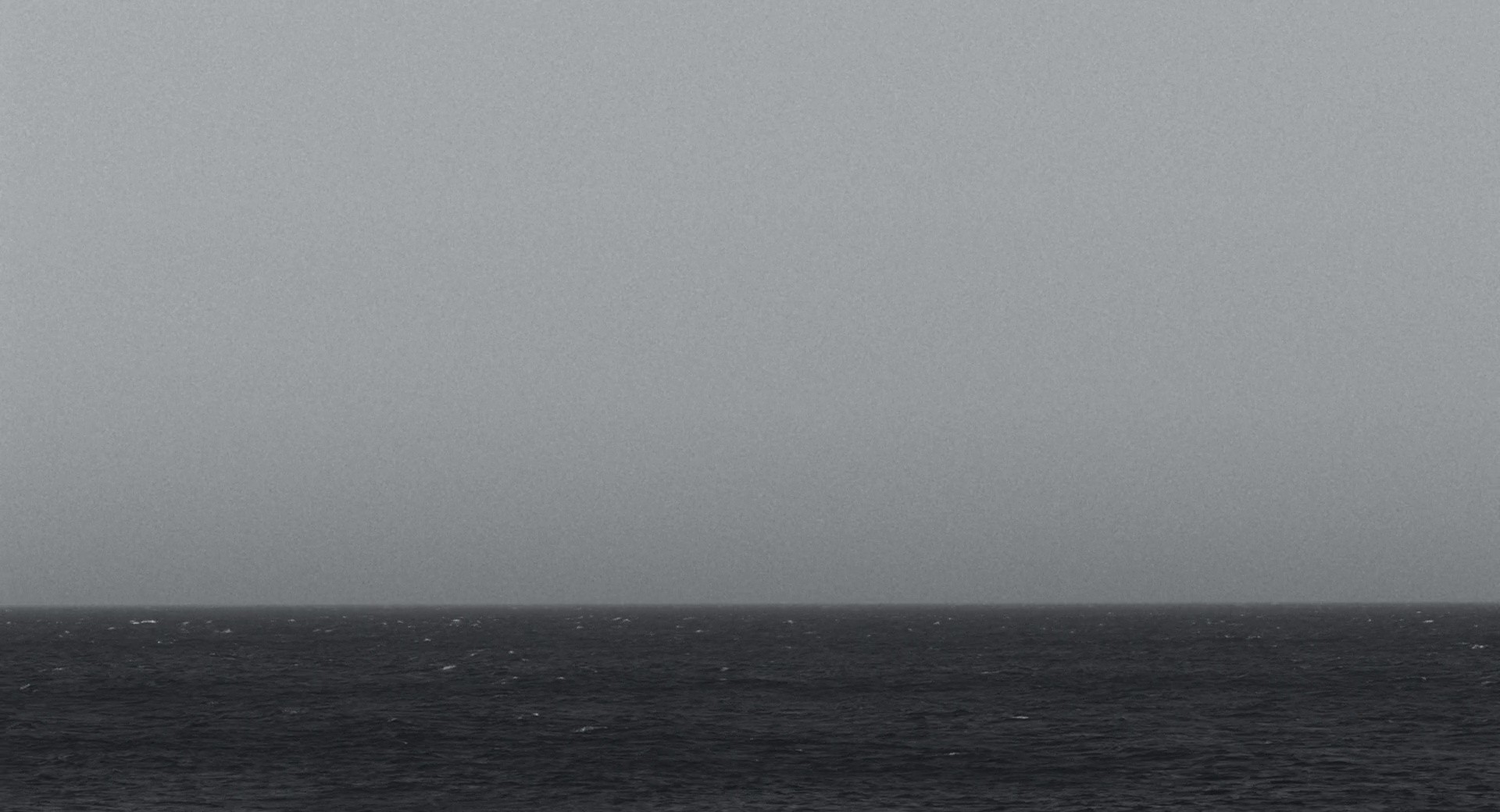 Scales (2019) —  shot,  lighting