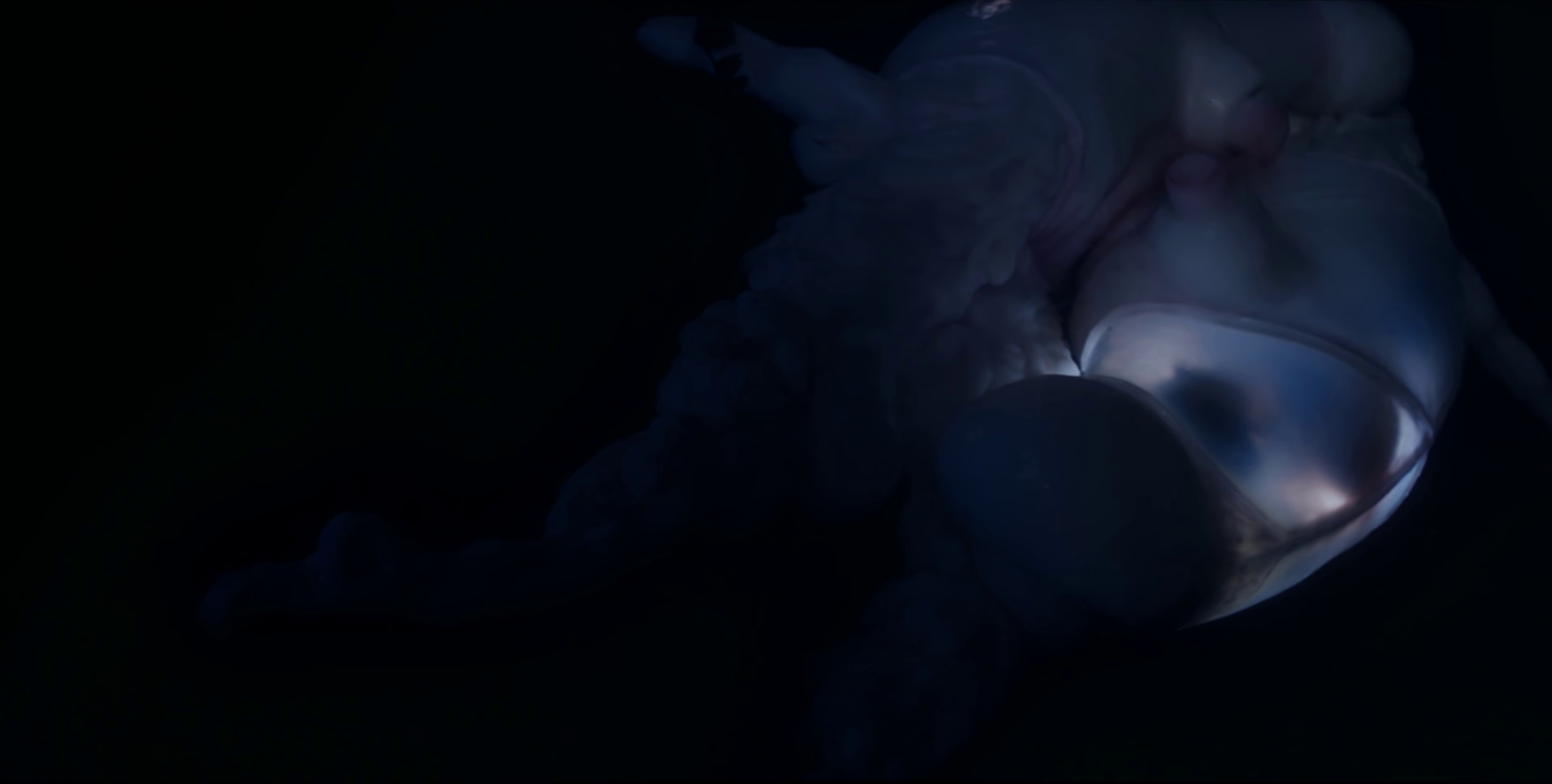 arisen my senses (2017) —  shot,  lighting