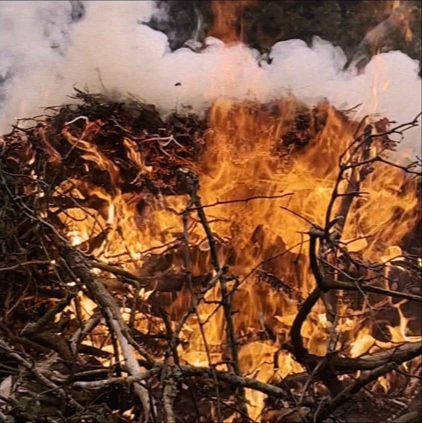 Women Deserve Rage (2025) —  shot,  lighting