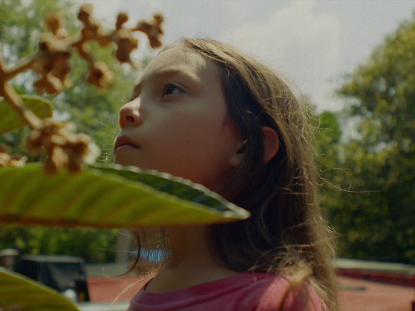 Totem (2023) —  shot,  lighting