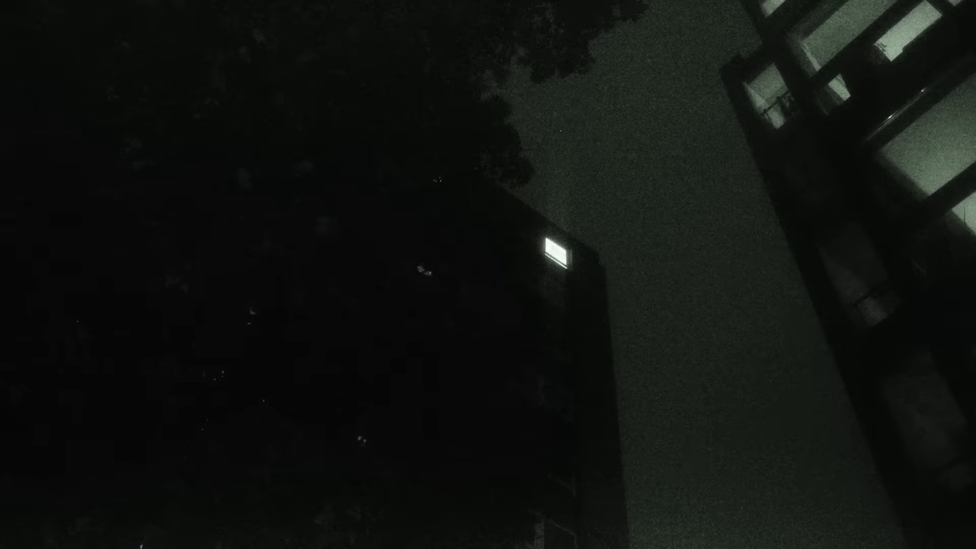 The Silence That Remains (2024) —  shot,  lighting