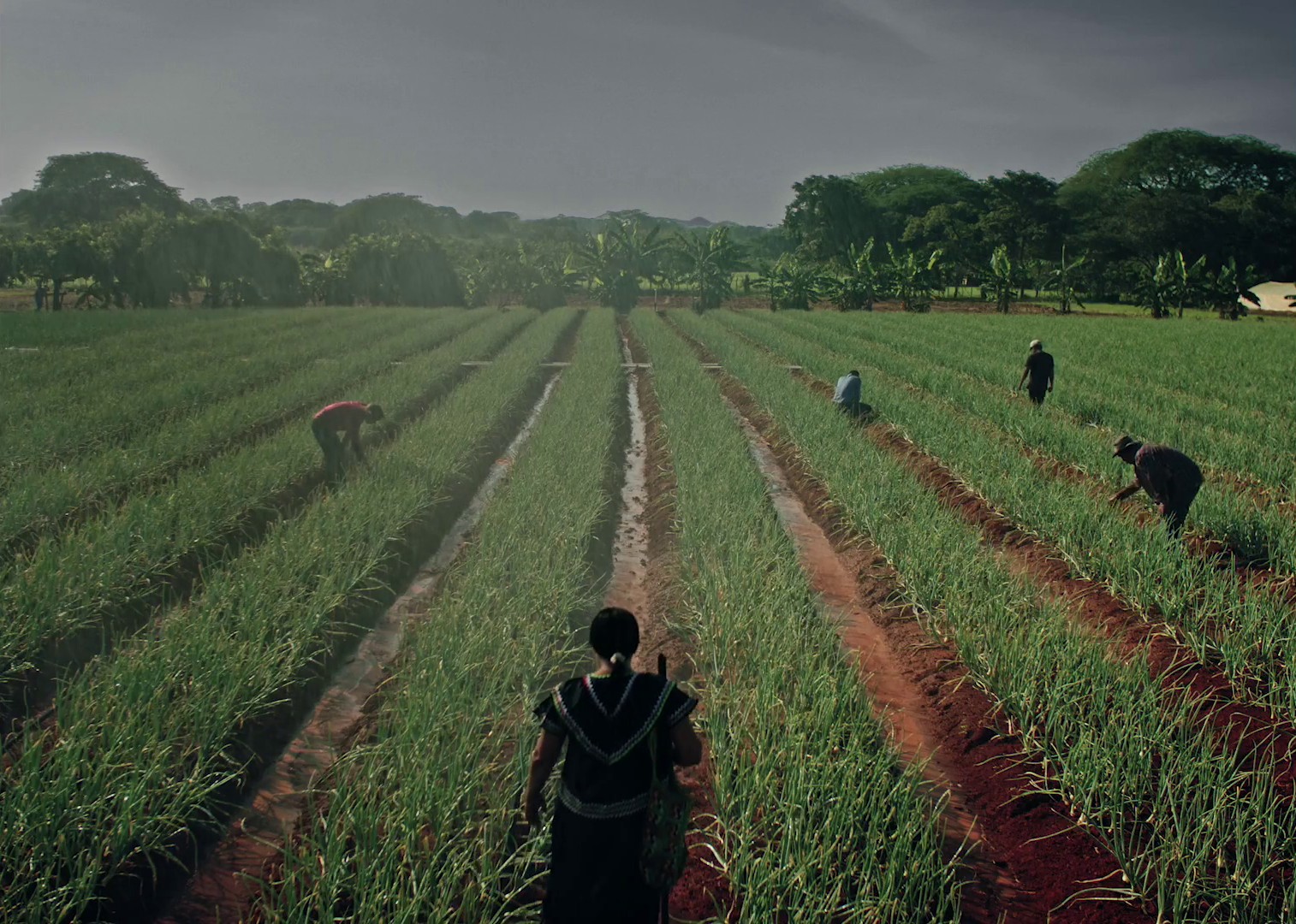 Canal de Panamá  Ruta 1   Versión 60seg (2024) —  shot,  lighting