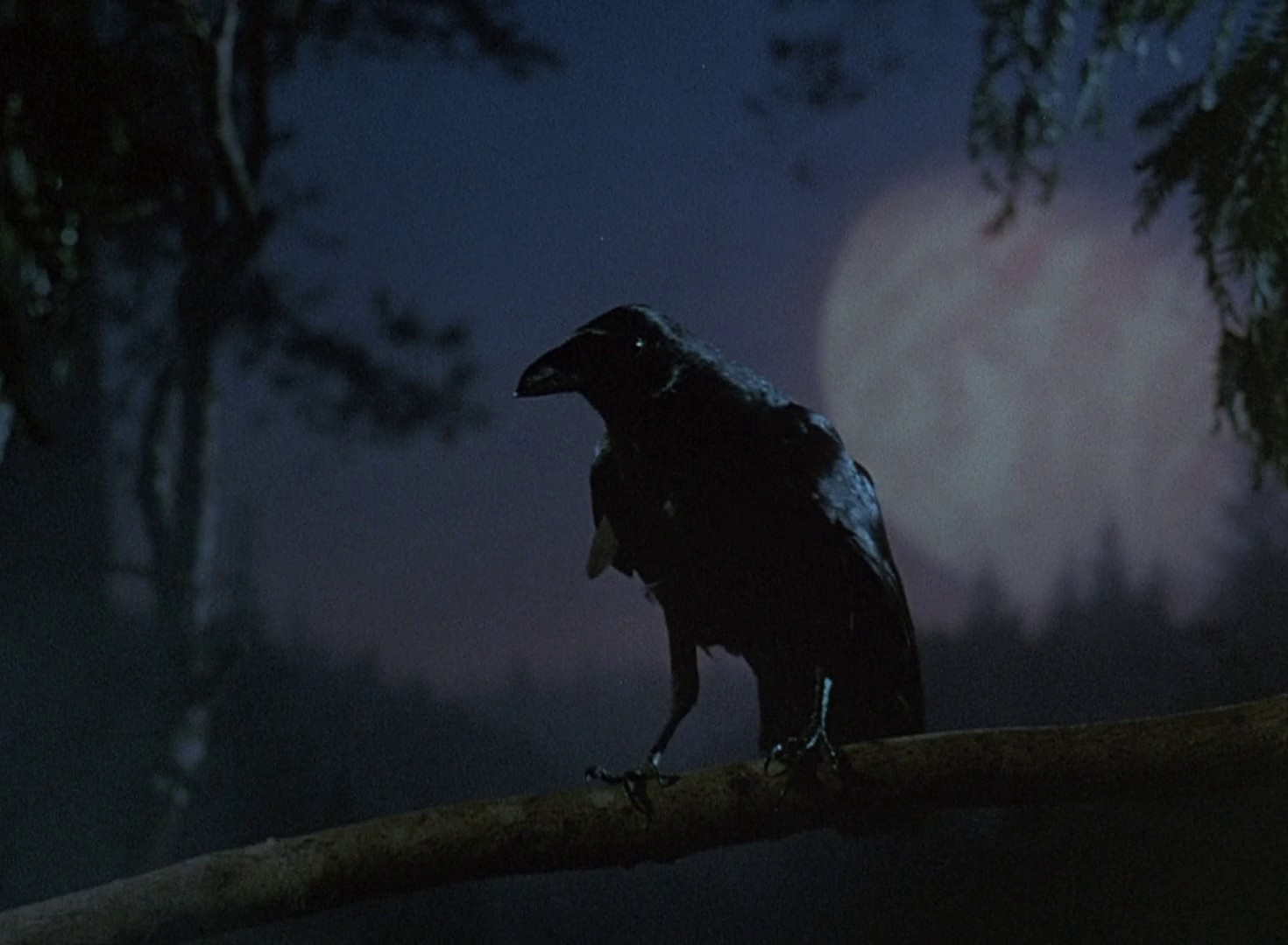 Ewoks: The Battle for Endor (1985) —  shot,  lighting