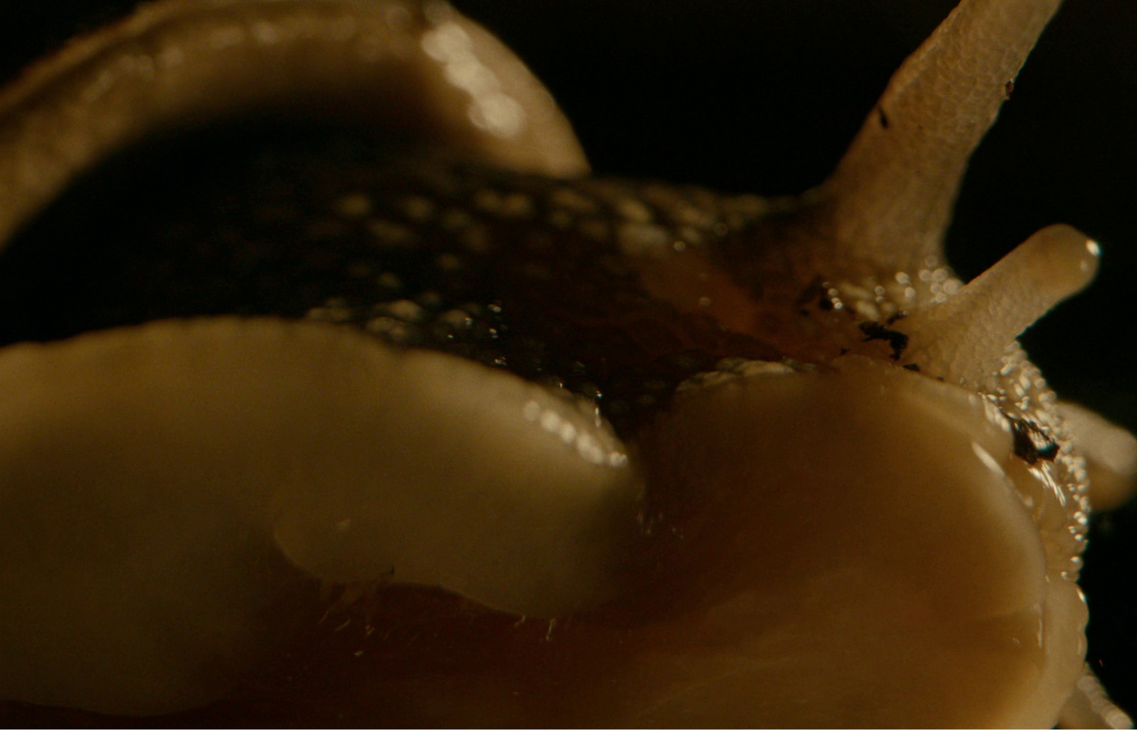 Say Nothing (2022) —  shot,  lighting