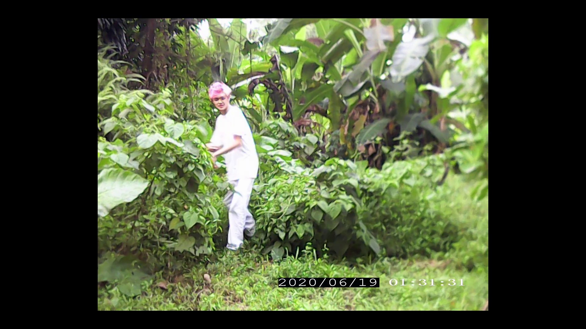 Star in Love (2021) —  shot,  lighting