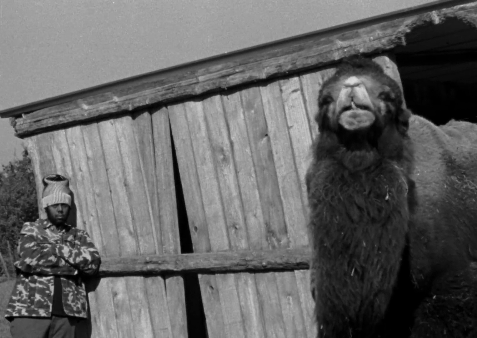 paramount (2025) —  shot,  lighting