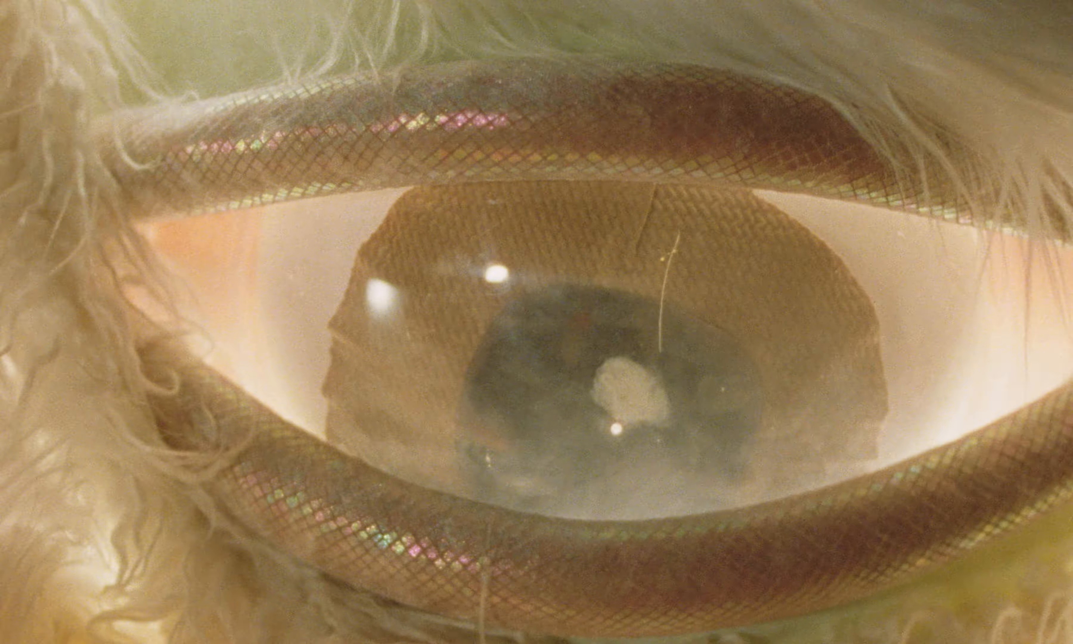 Disiniblud (2025) —  shot,  lighting