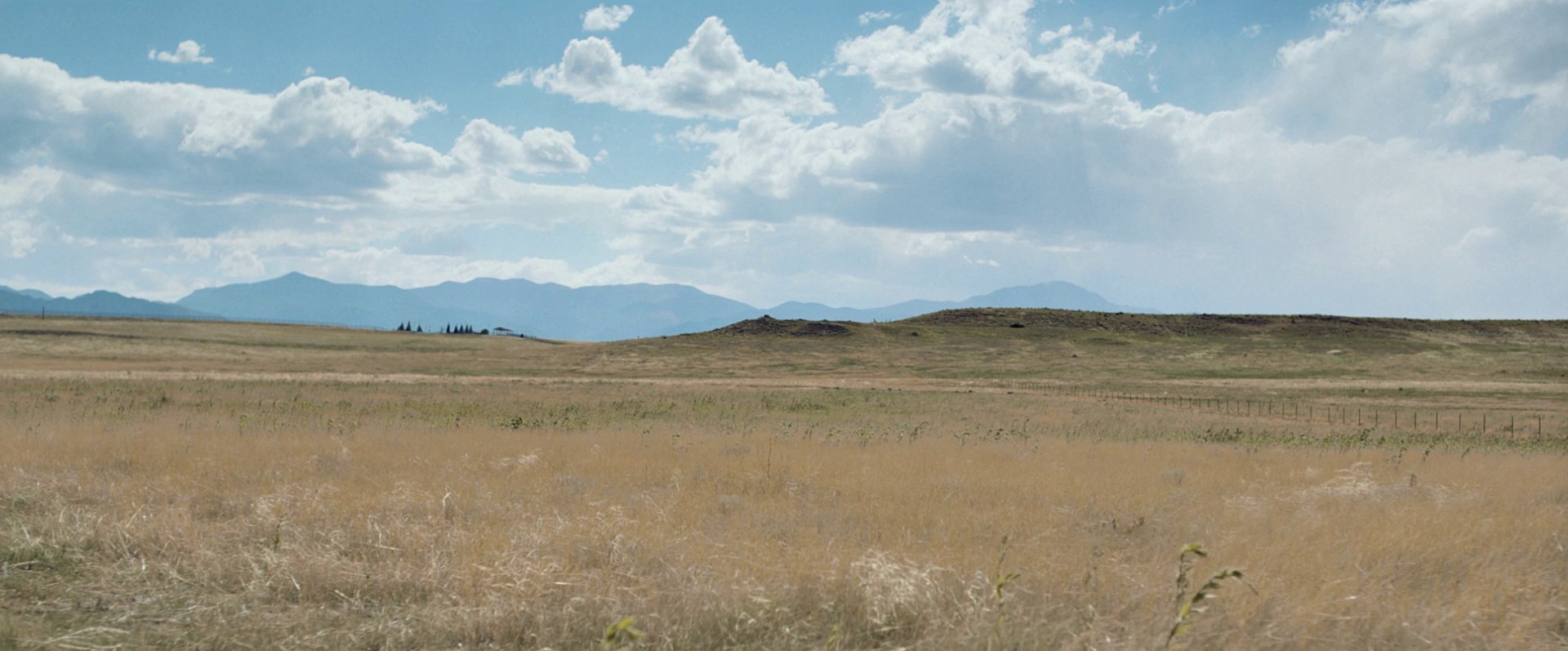 Cop Car (2015) —  shot,  lighting