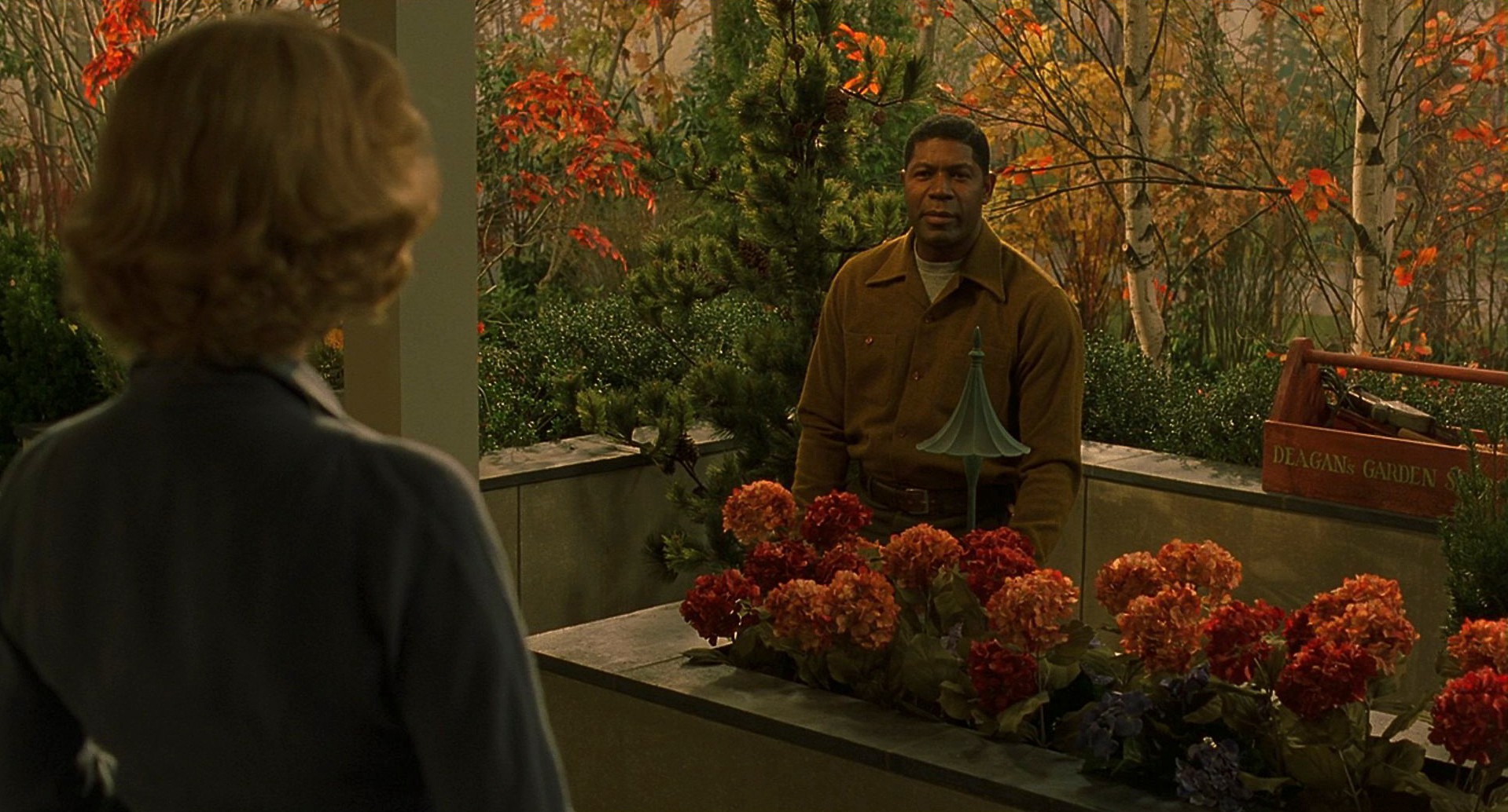 Far from Heaven (2002) —  shot,  lighting
