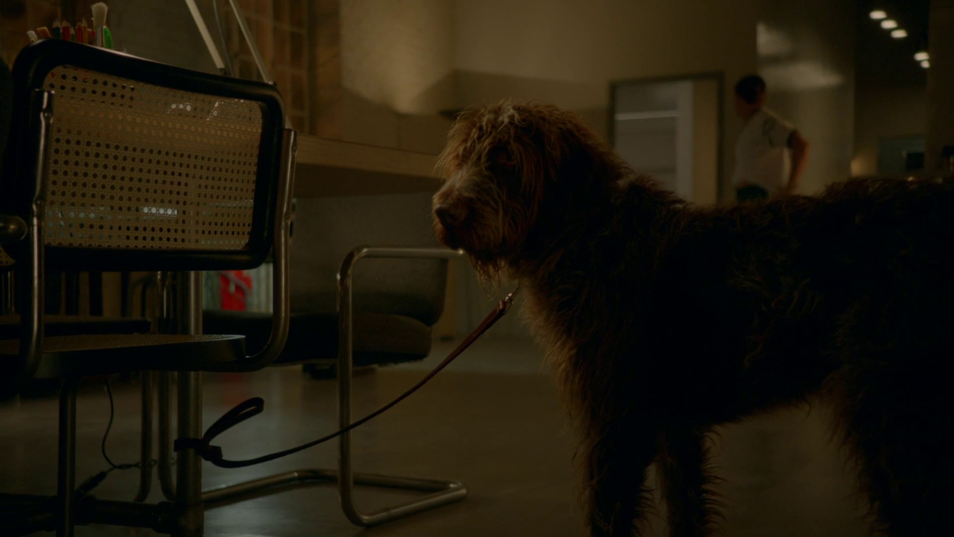 House by the Lake (2018) —  shot,  lighting