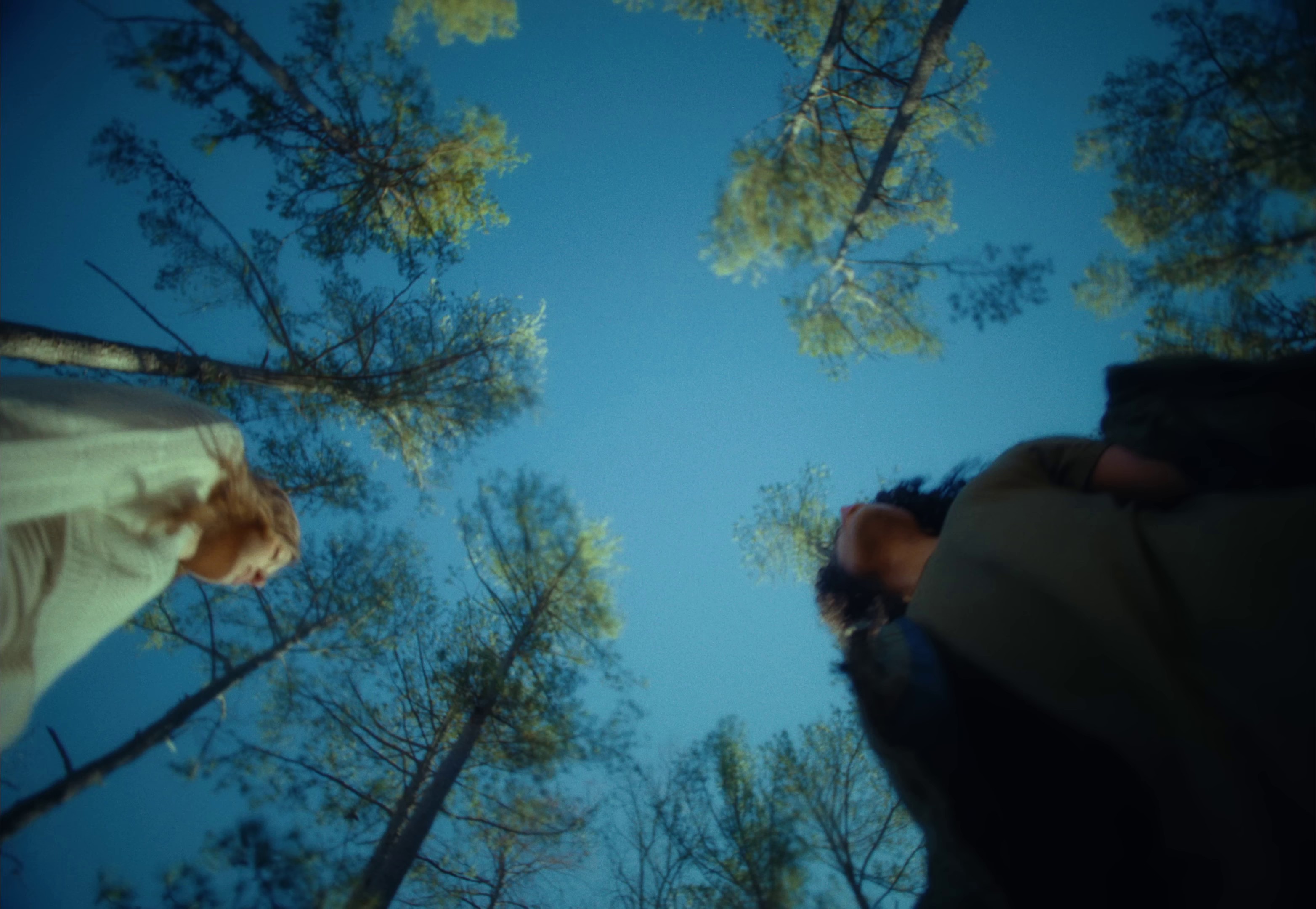 When We Die (Can We Still Get High?) (2024) —  shot,  lighting