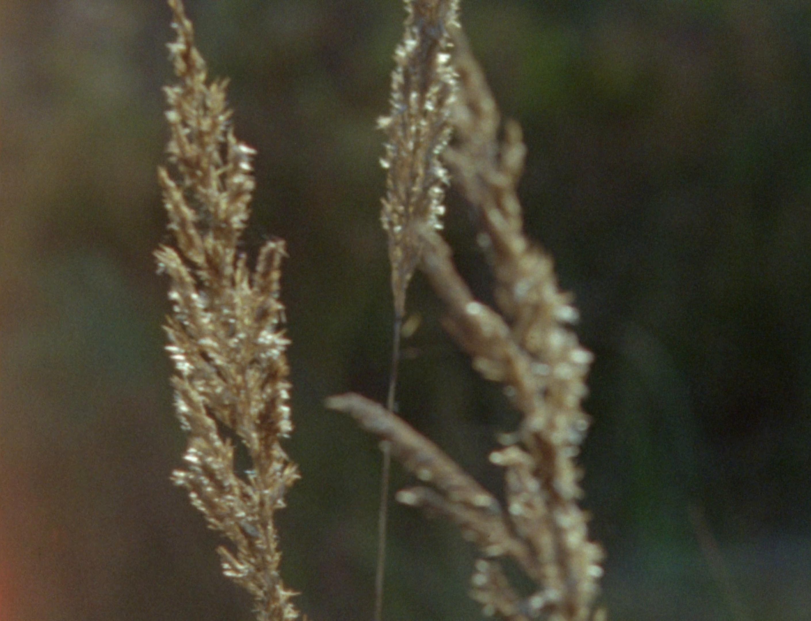 The Fork (2025) —  shot,  lighting