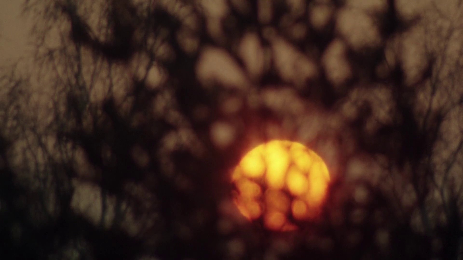 The Devil's Three Golden Hairs (1977) —  shot,  lighting