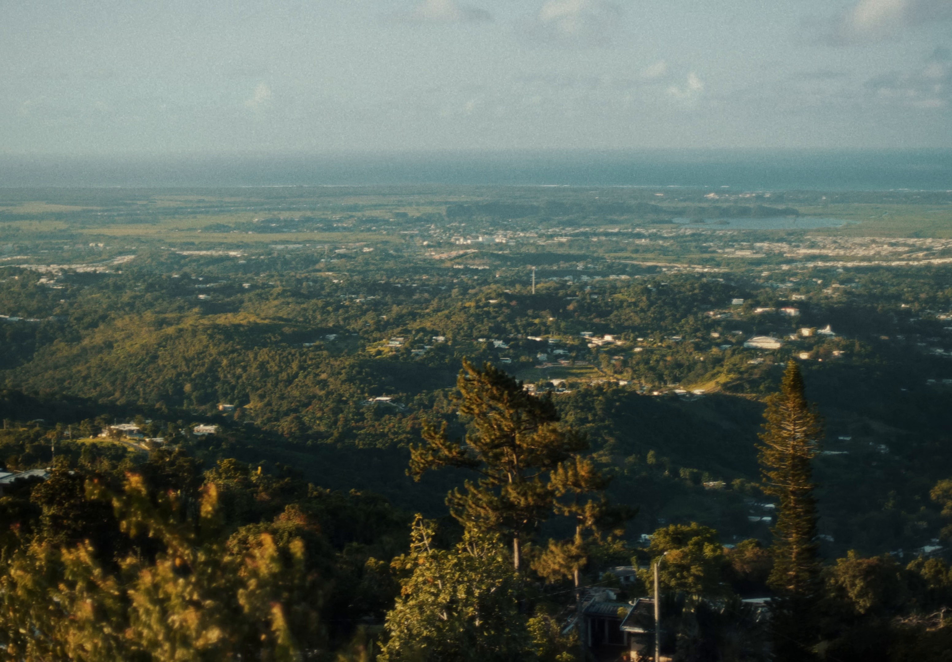 Carita Linda (2025) —  shot,  lighting