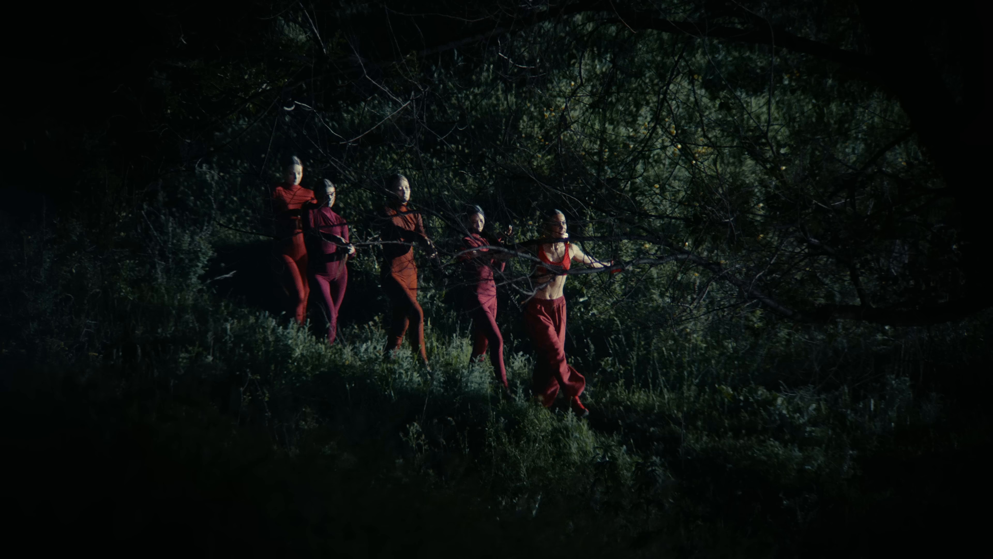 SUPERSTAR ILLNESS (2024) —  shot,  lighting