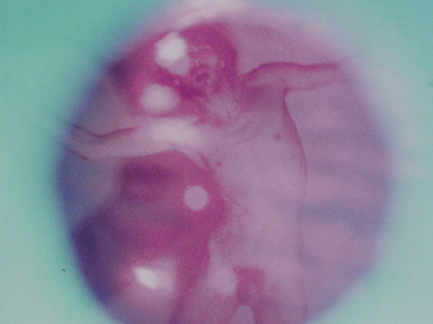 New Old (1979) —  shot,  lighting