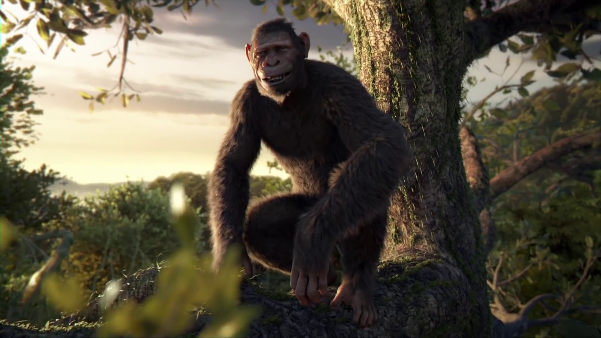 Adventure Of A Lifetime (2015) —  shot,  lighting