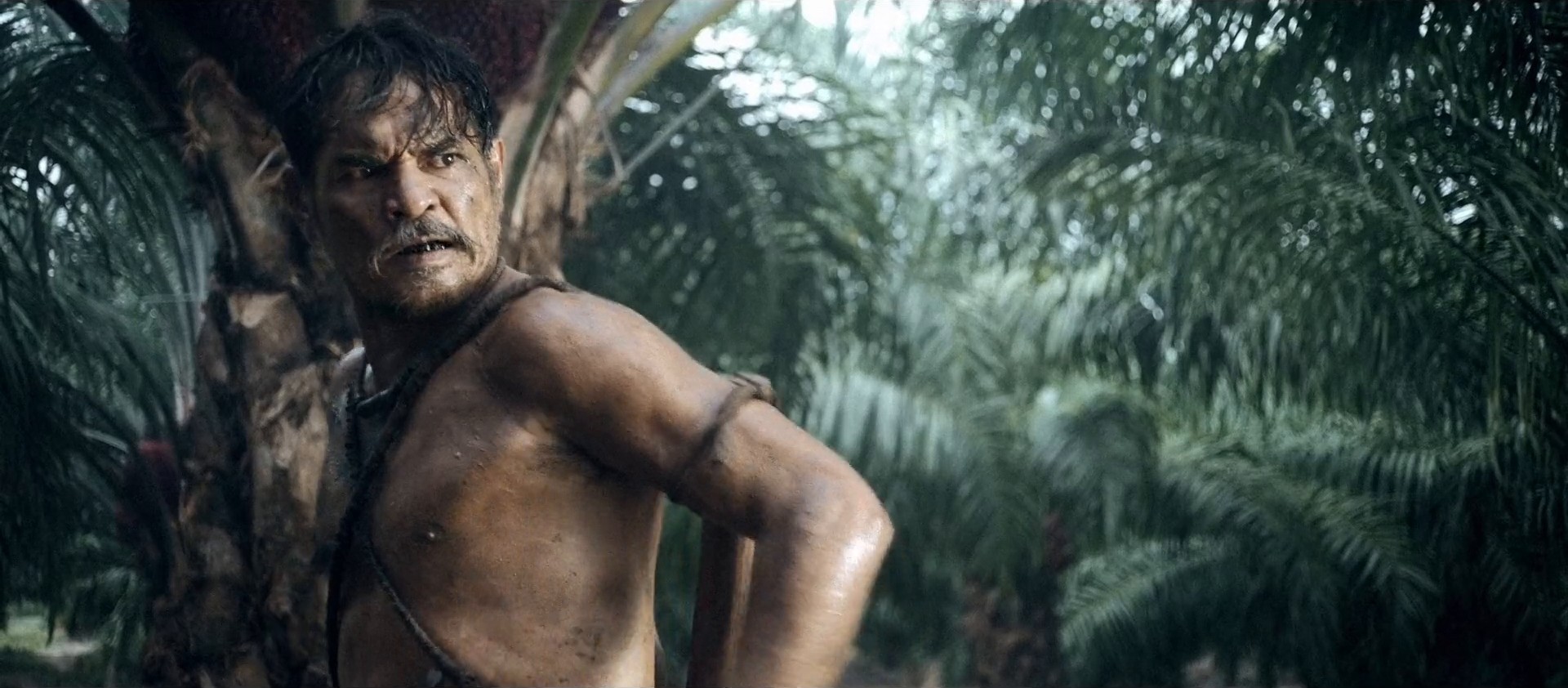 Yara Mila (2017) —  shot,  lighting