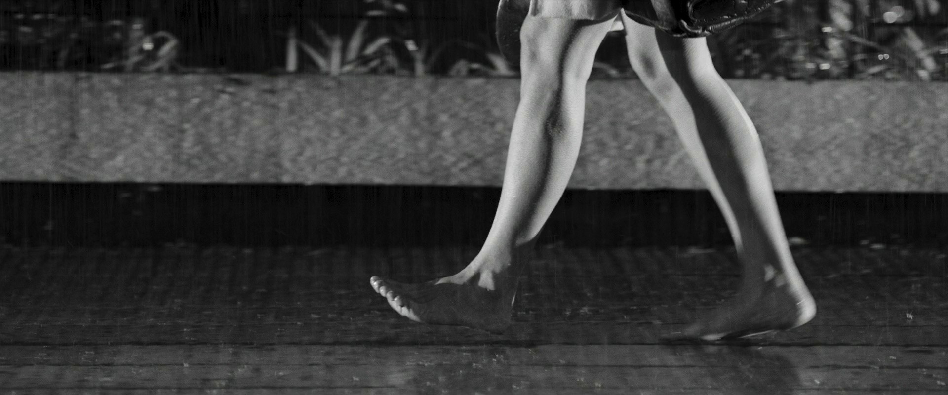 The Attachment Diaries (2021) —  shot,  lighting