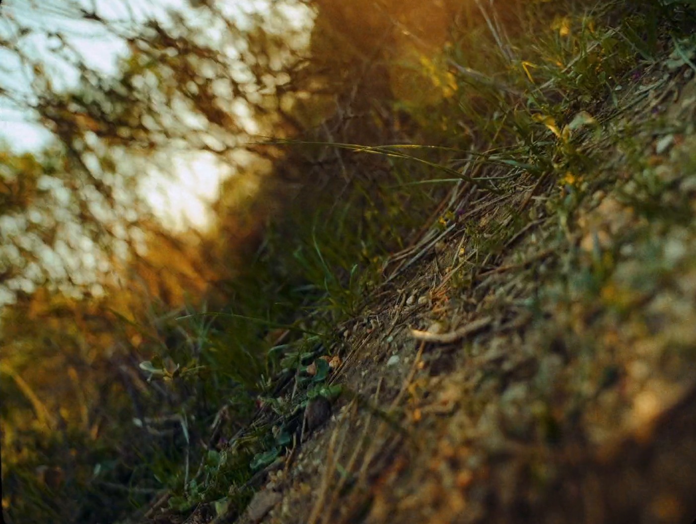 adidas TERREX | All Roads Lead To UTCT (2024) —  shot,  lighting